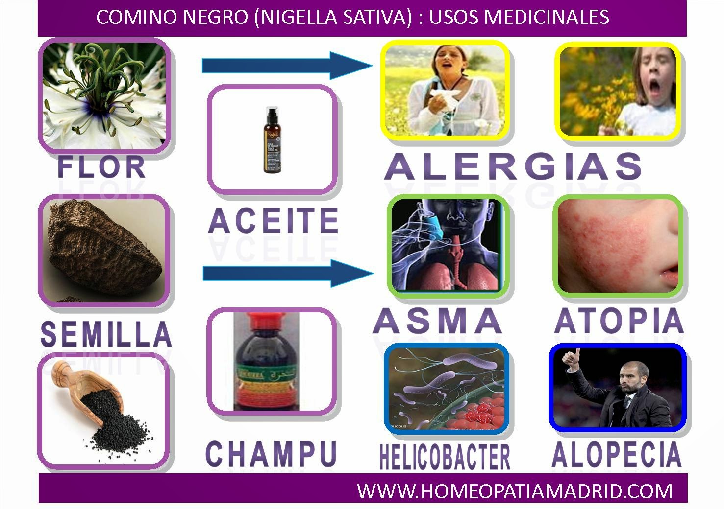 La falta de las vitaminas los cabellos secos